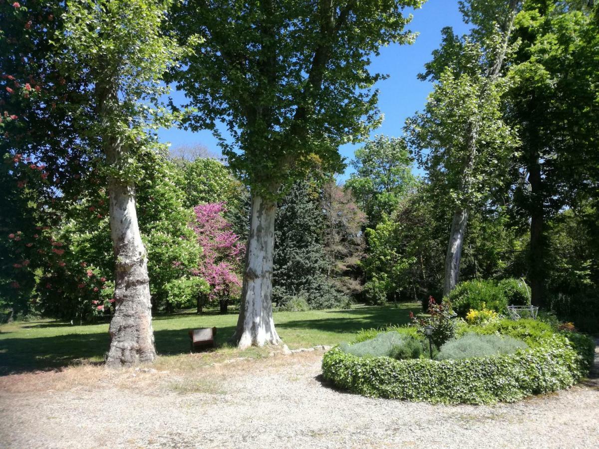 Loupia Mon Petit Soulie Bed & Breakfast エクステリア 写真