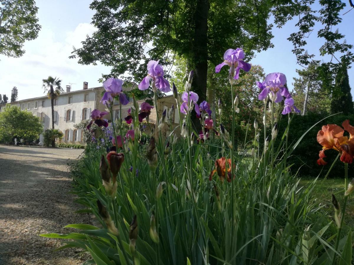 Loupia Mon Petit Soulie Bed & Breakfast エクステリア 写真