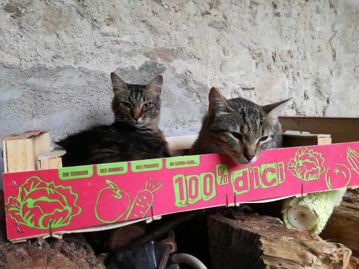 Loupia Mon Petit Soulie Bed & Breakfast エクステリア 写真